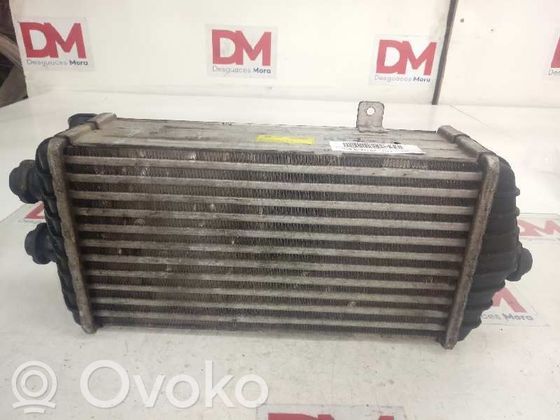 Chłodnica powietrza doładowującego / Intercooler