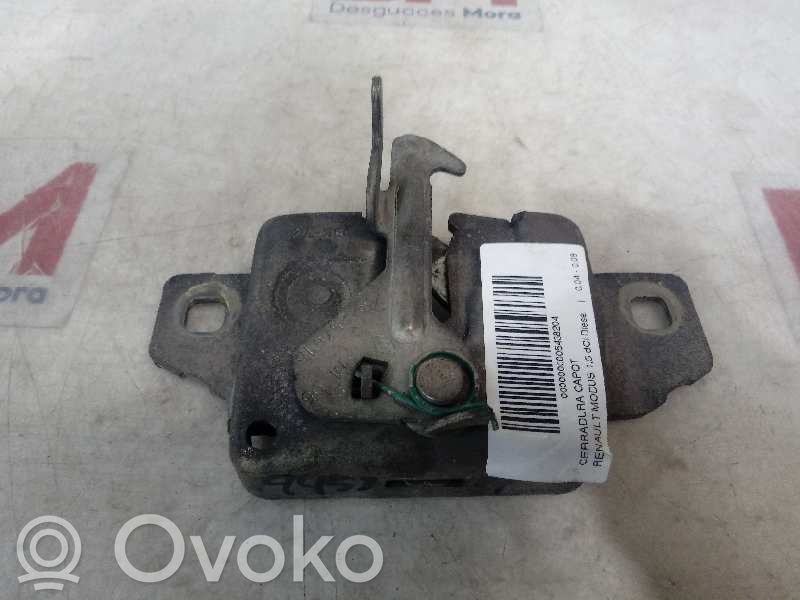 Tie down hook / loop