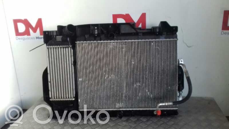 Intercooler radiator