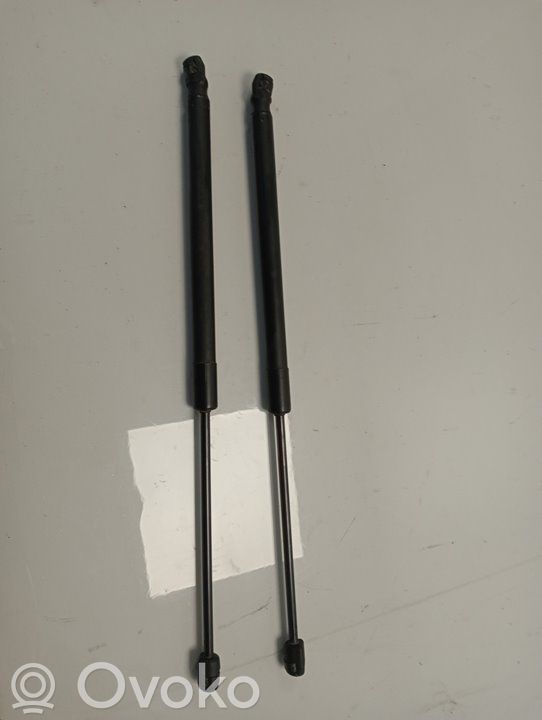 Tailgate/trunk/boot lid buffer