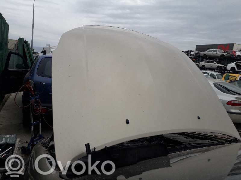Motorhaube