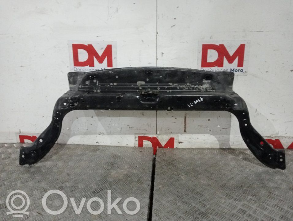 Citroen Berlingo Panelė 