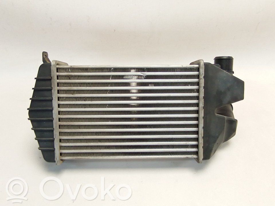 Interkūlerio radiatorius   96587