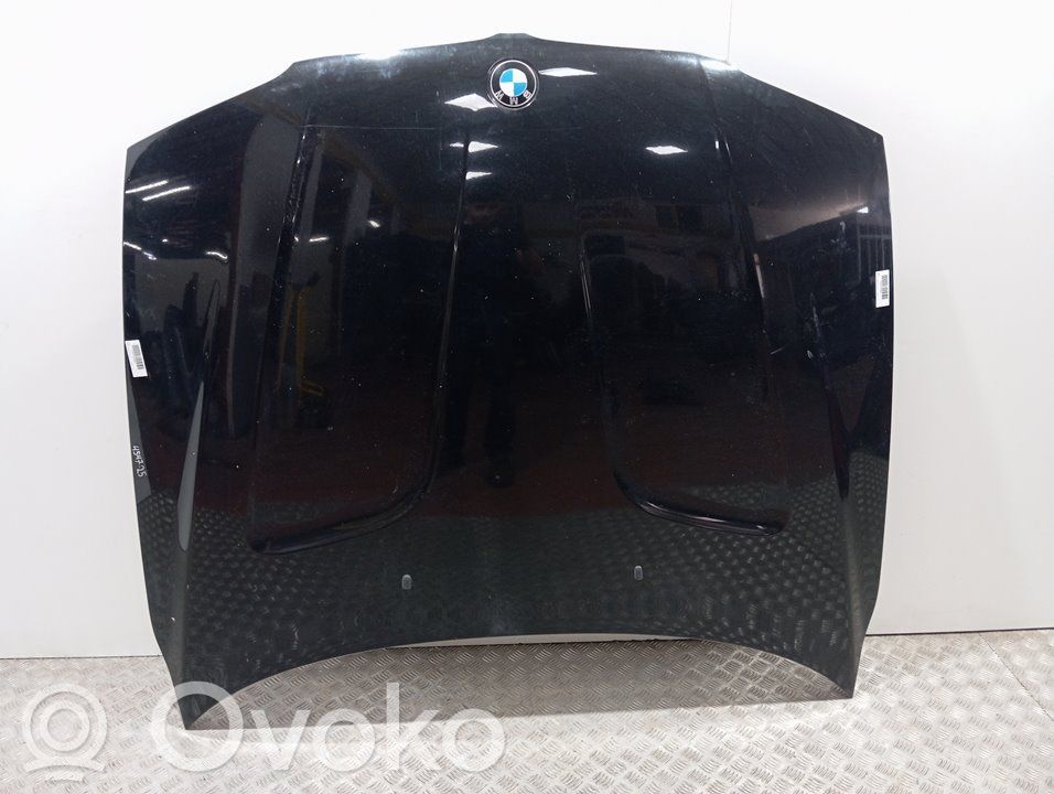 Capó/tapa del motor   41003449411