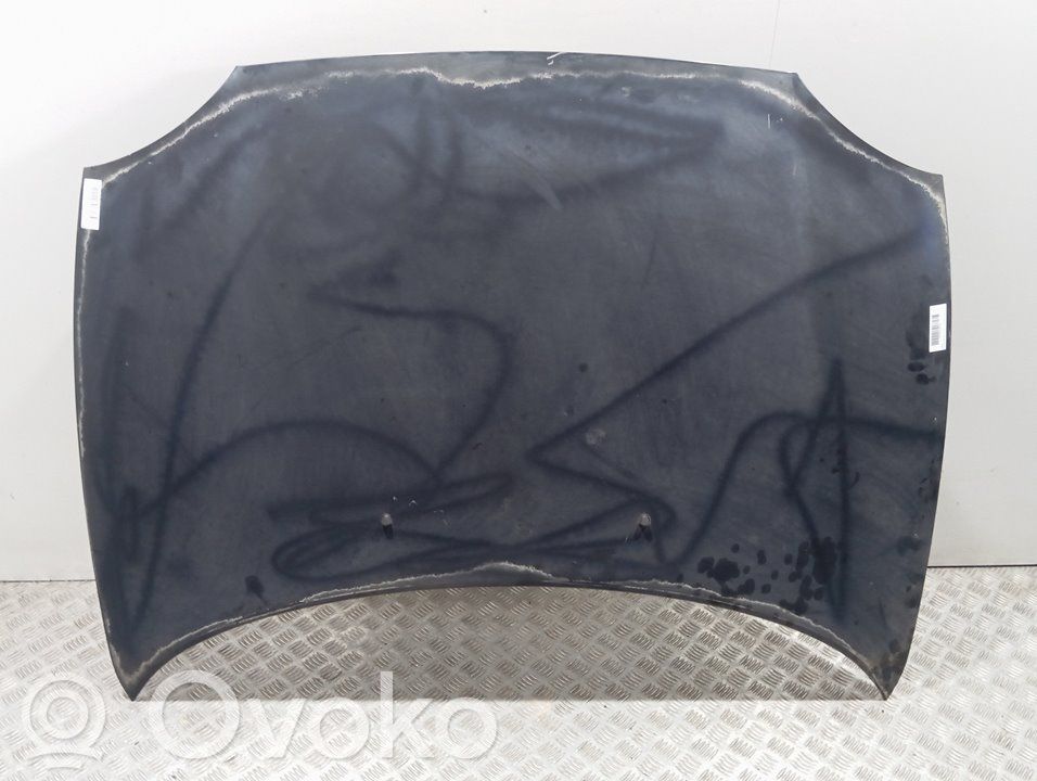 Vano motore/cofano