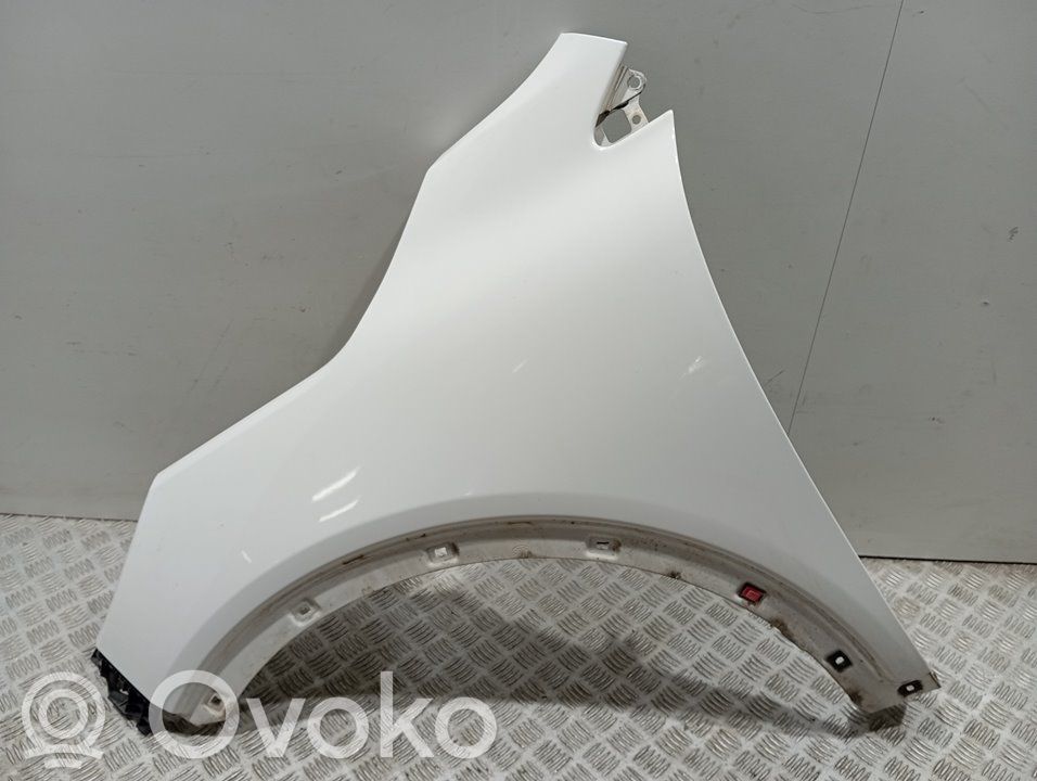 Guardabarro   66311C5000