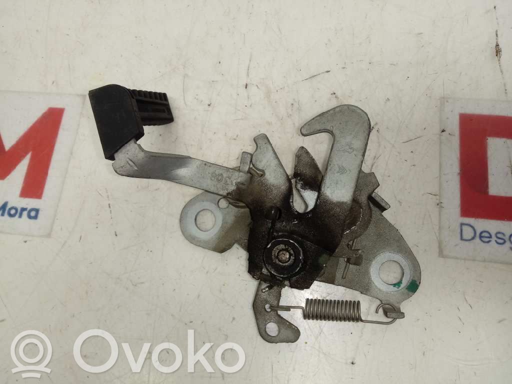 Citroen C3 Tvirtinimo kablys / kilpa 