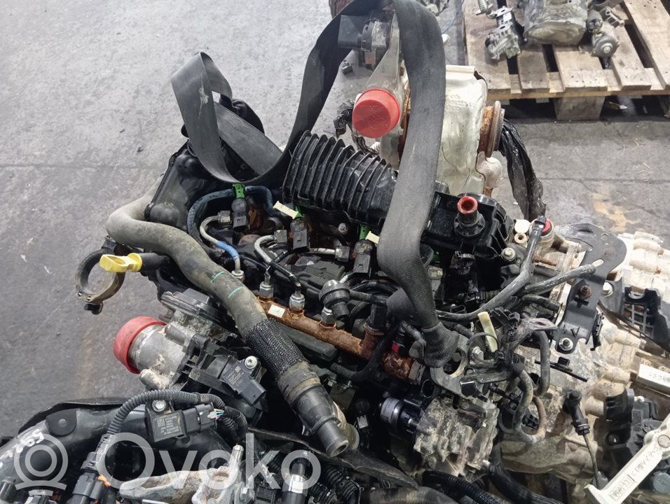 Ford Transit -  Tourneo Connect Variklis 