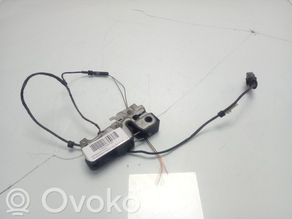 Tie down hook / loop   3AB823509A