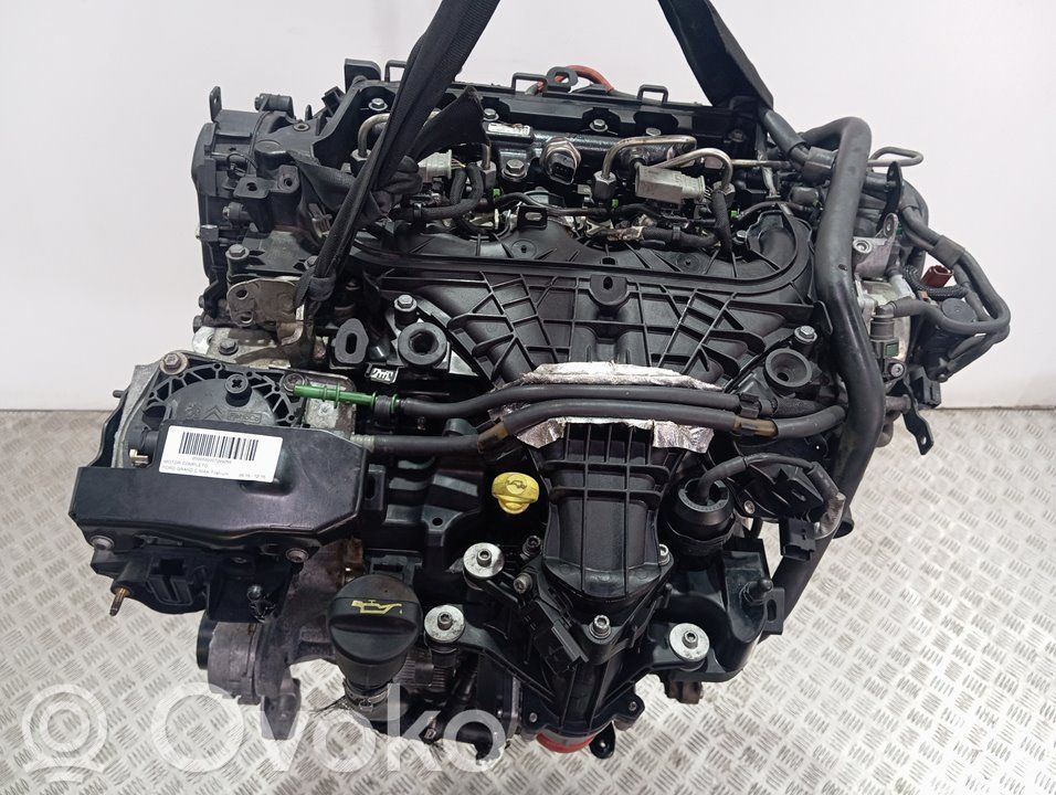 Motore   UFDB,18384692070045,1869767