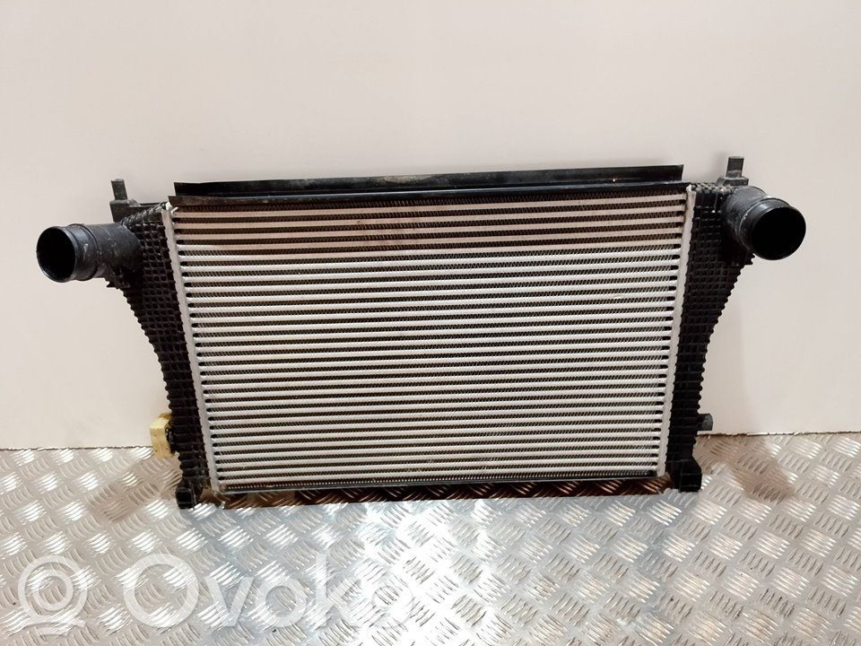 Volkswagen Tiguan Interkūlerio radiatorius 