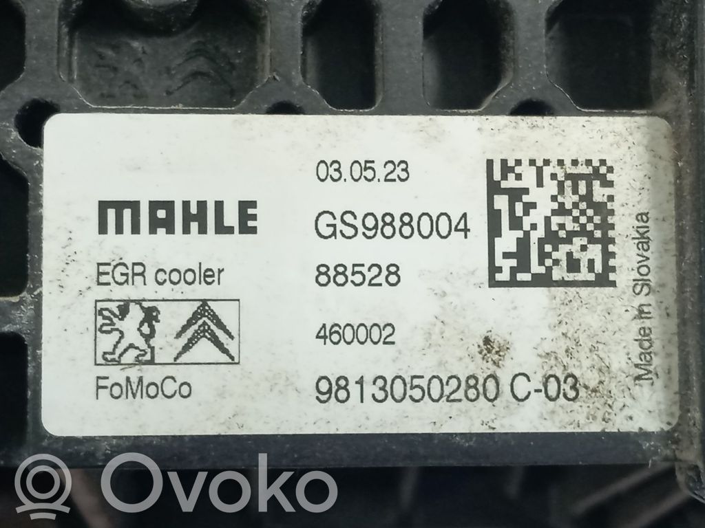 Opel Vivaro Valvola di raffreddamento EGR 
