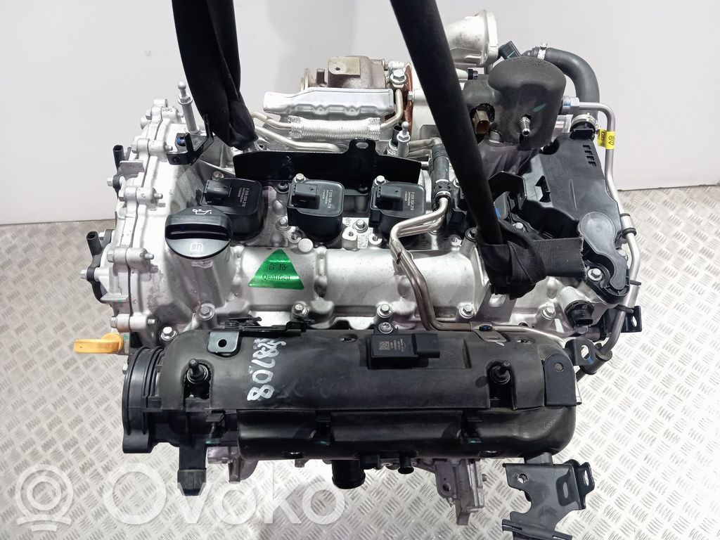 MG HS Variklis 