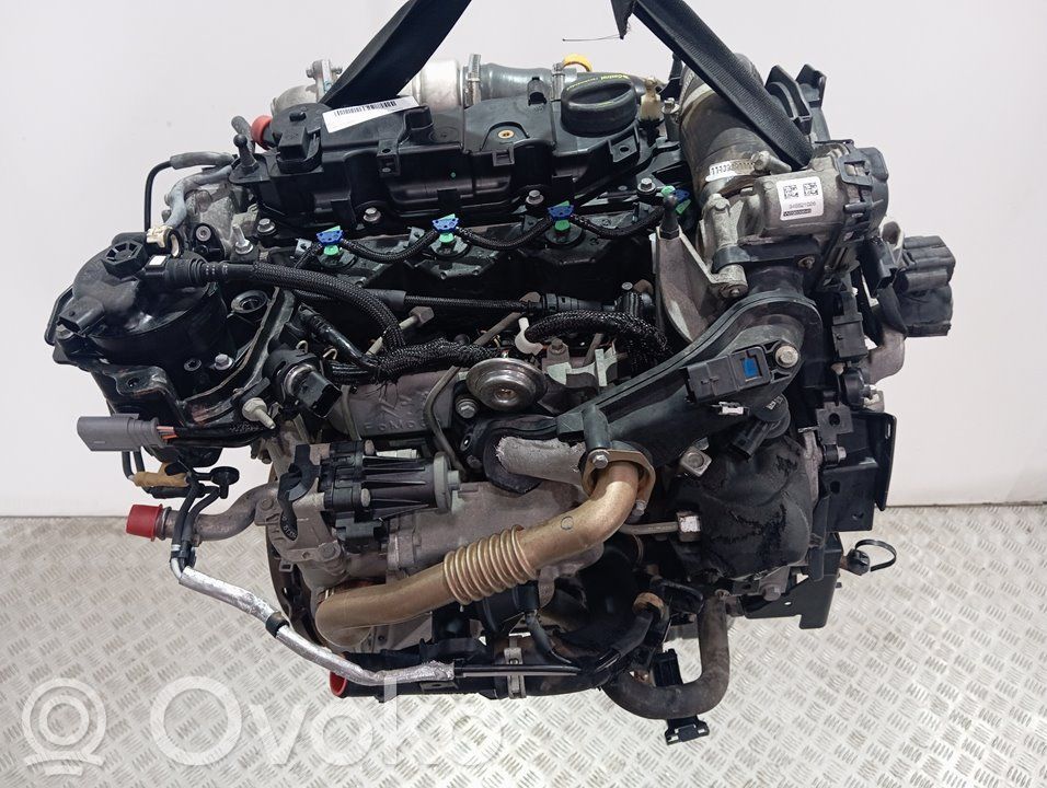 Engine   XVCC