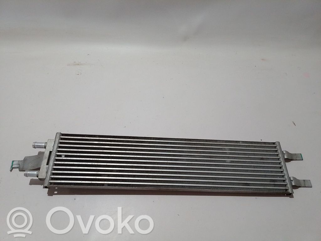 Lynk & co 01 Radiatore di raffreddamento 
