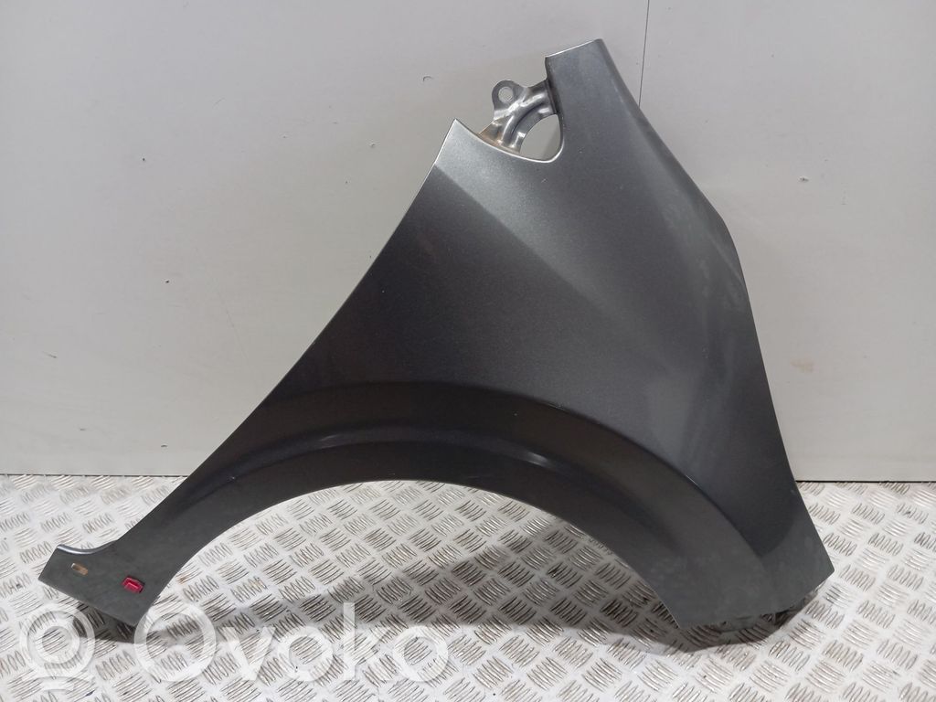 Guardabarro   66321G6010