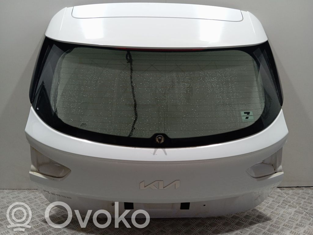 Tailgate/trunk/boot lid   73700J7800