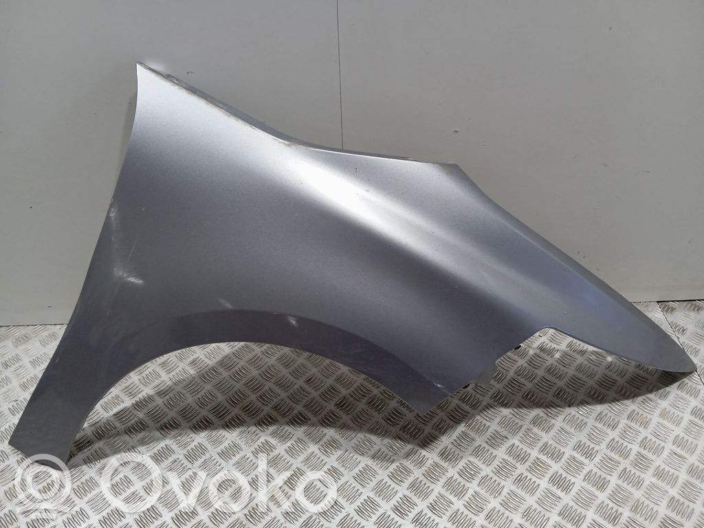 Citroen C4 SpaceTourer Guardabarro 