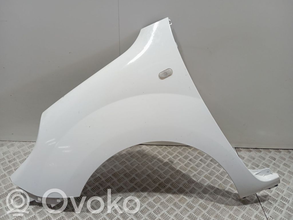 Renault Kangoo II Guardabarro 