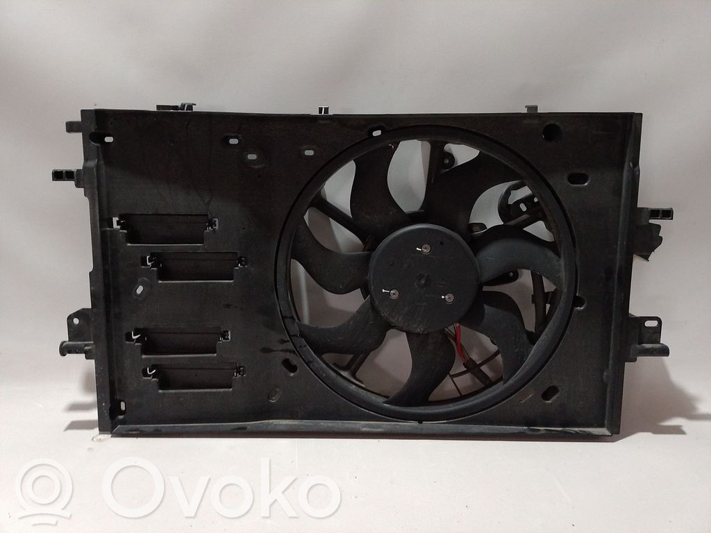 Elektrolüfter   214817571R