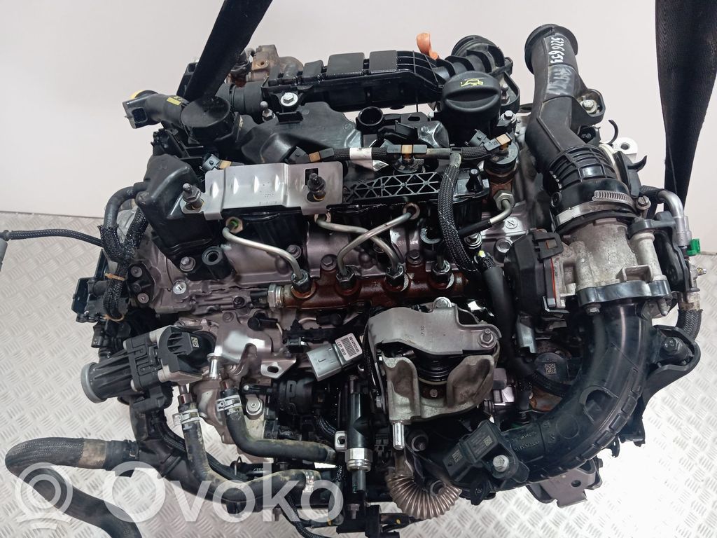 Citroen Berlingo Motor