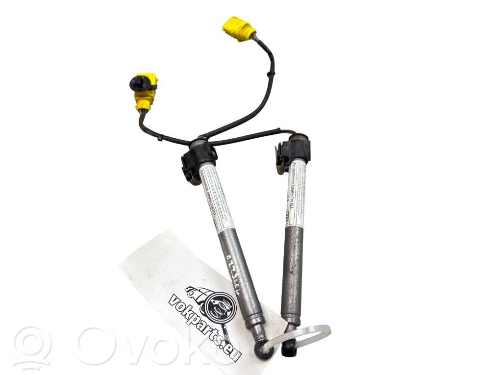Audi A4 Allroad B9 Actuator airbag pietoni capotă 