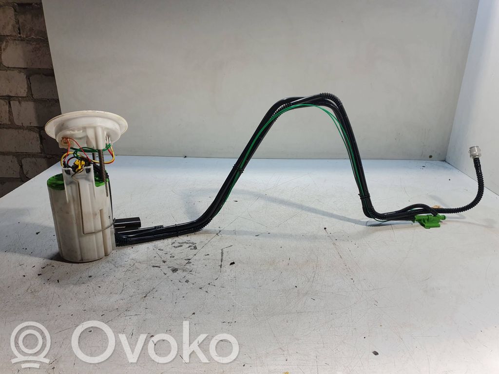 In-tank fuel pump   7187933,889153