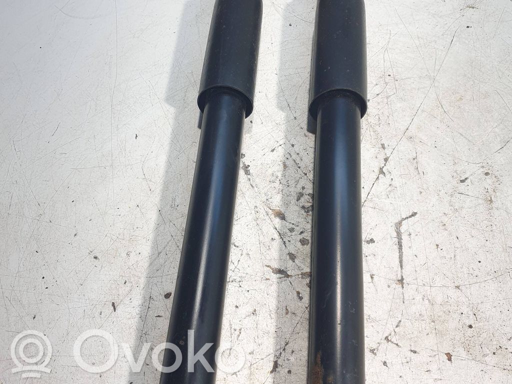 Stoßdämpfer hinten