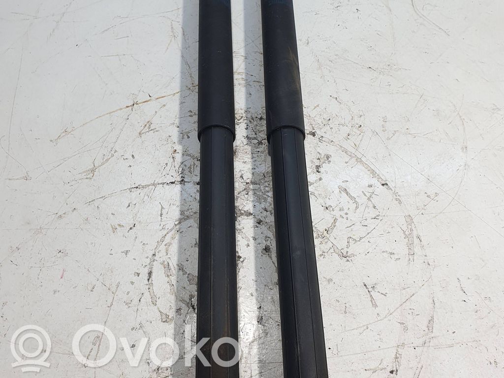 Tailgate/trunk strut/damper   7177283