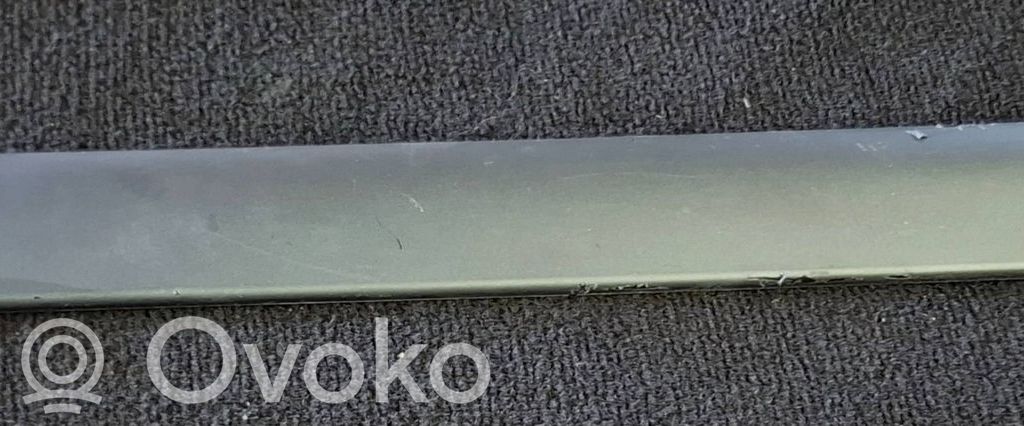Moldura del panel (Usadas)   8213996