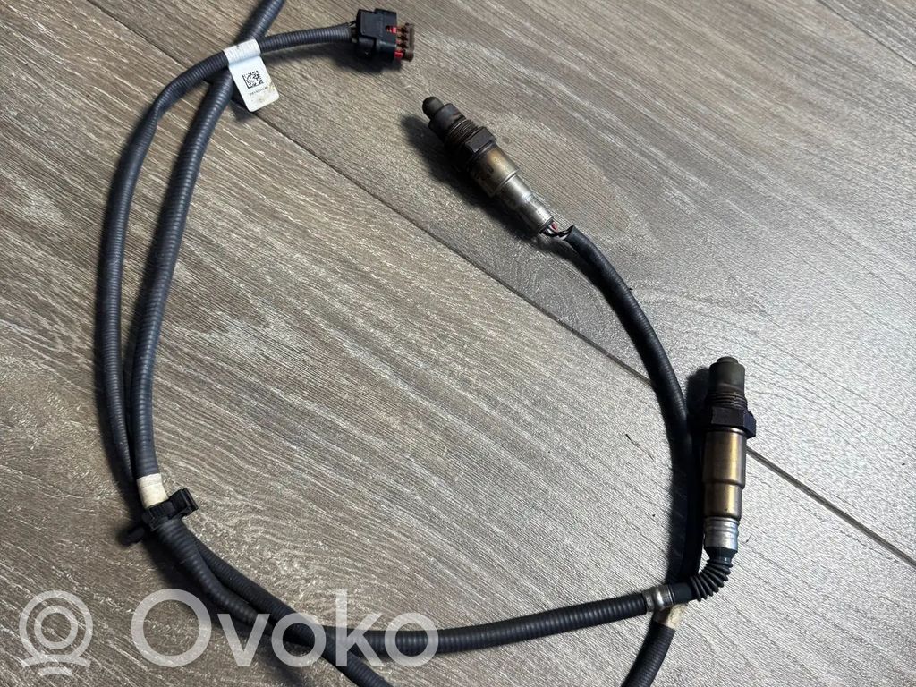 Lambda probe sensor   J1B19G444AB,H1B19Y460DA