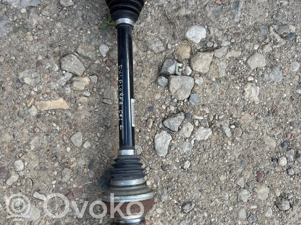 Aizmugurējā pusass   1EA501201F