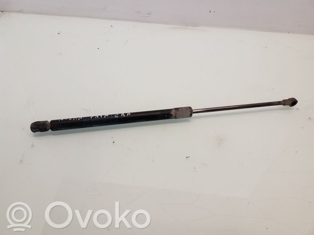 Nissan Primera Tailgate/trunk strut/damper 