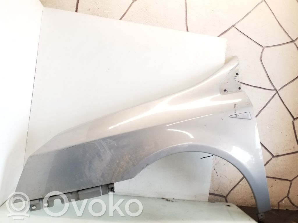 Renault Vel Satis Sparnas 