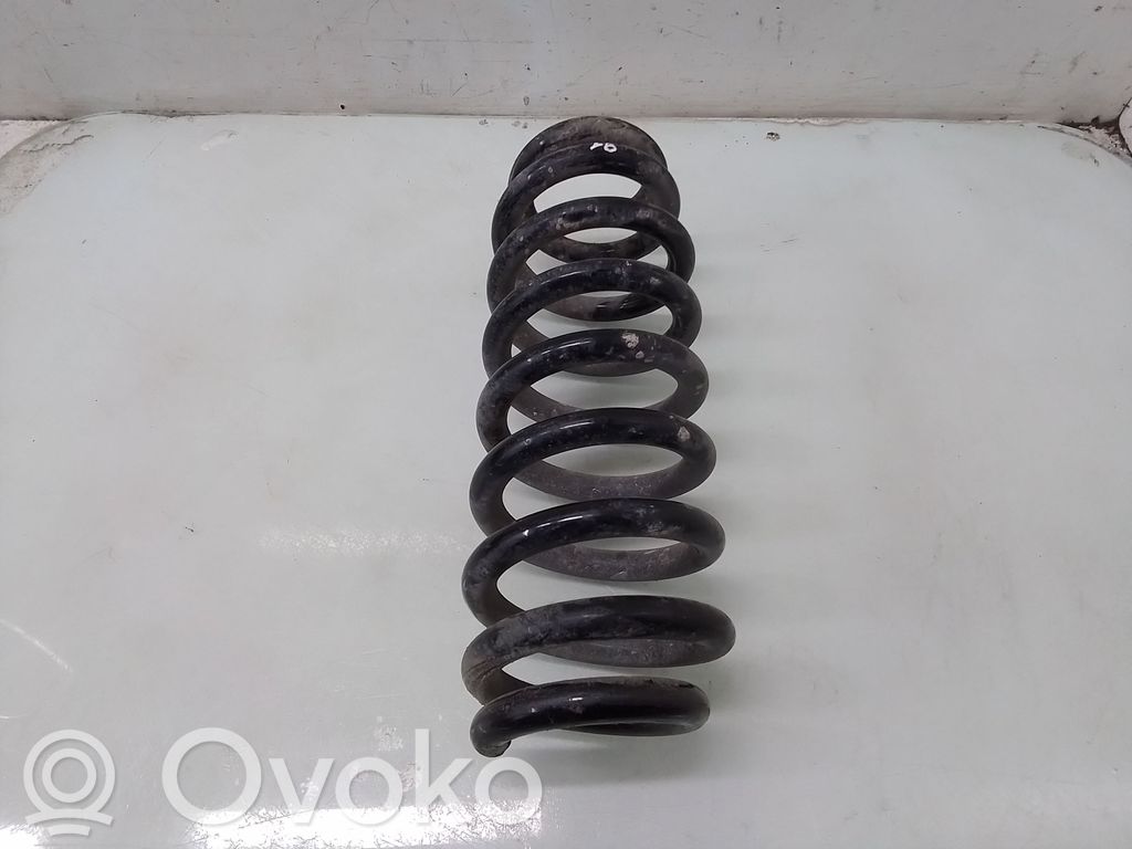 Rear coil spring