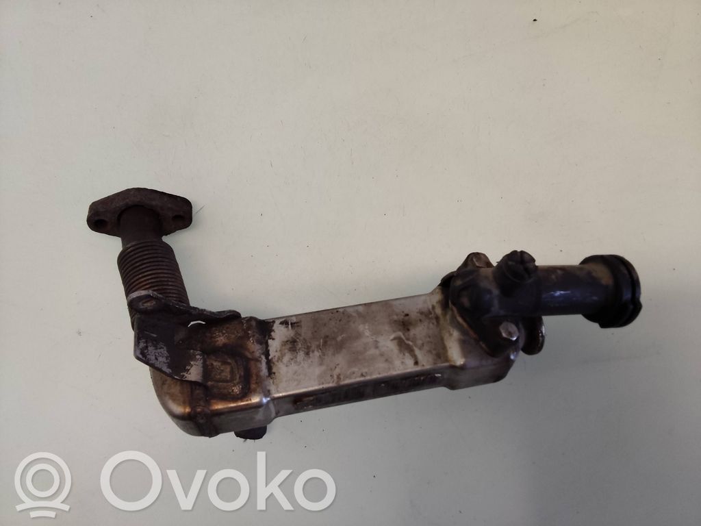 EGR aušintuvas   039448,0159,C1310