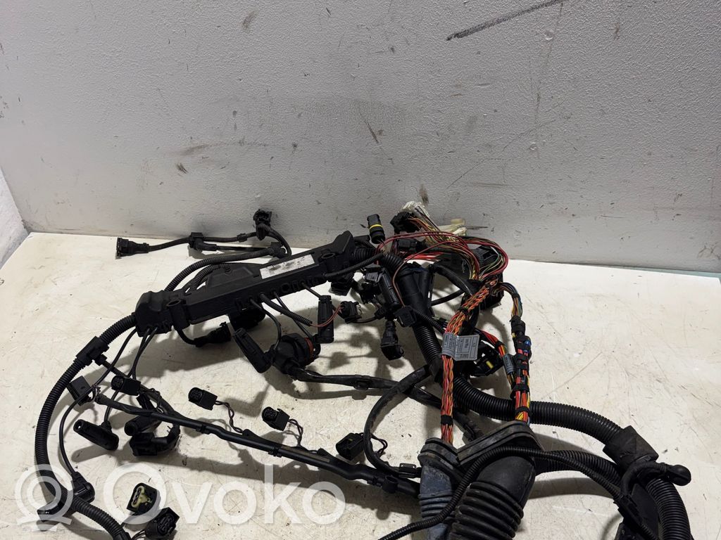 Engine installation wiring loom   7796819,EMB85T