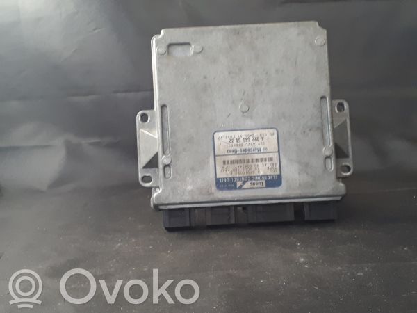Mercedes-Benz C W202 Engine control unit/module 