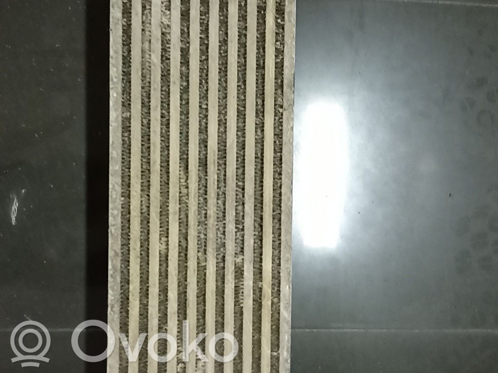 Mercedes-Benz Citan W415 Chłodnica powietrza doładowującego / Intercooler 