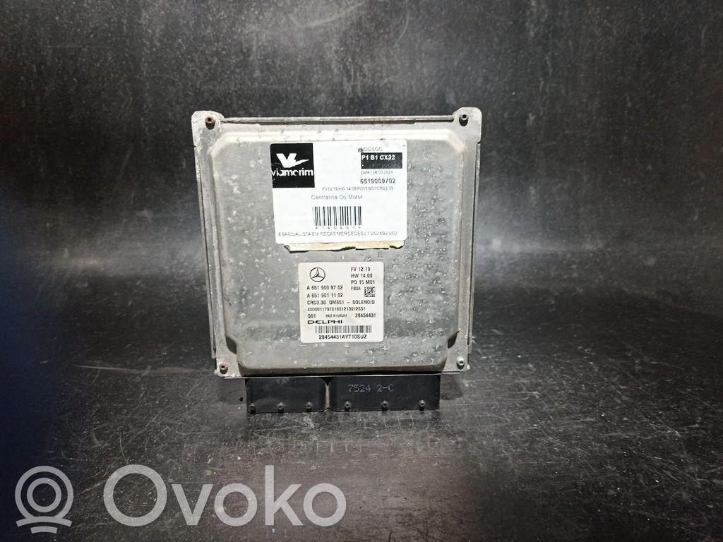 Mercedes-Benz A W176 Engine control unit/module 