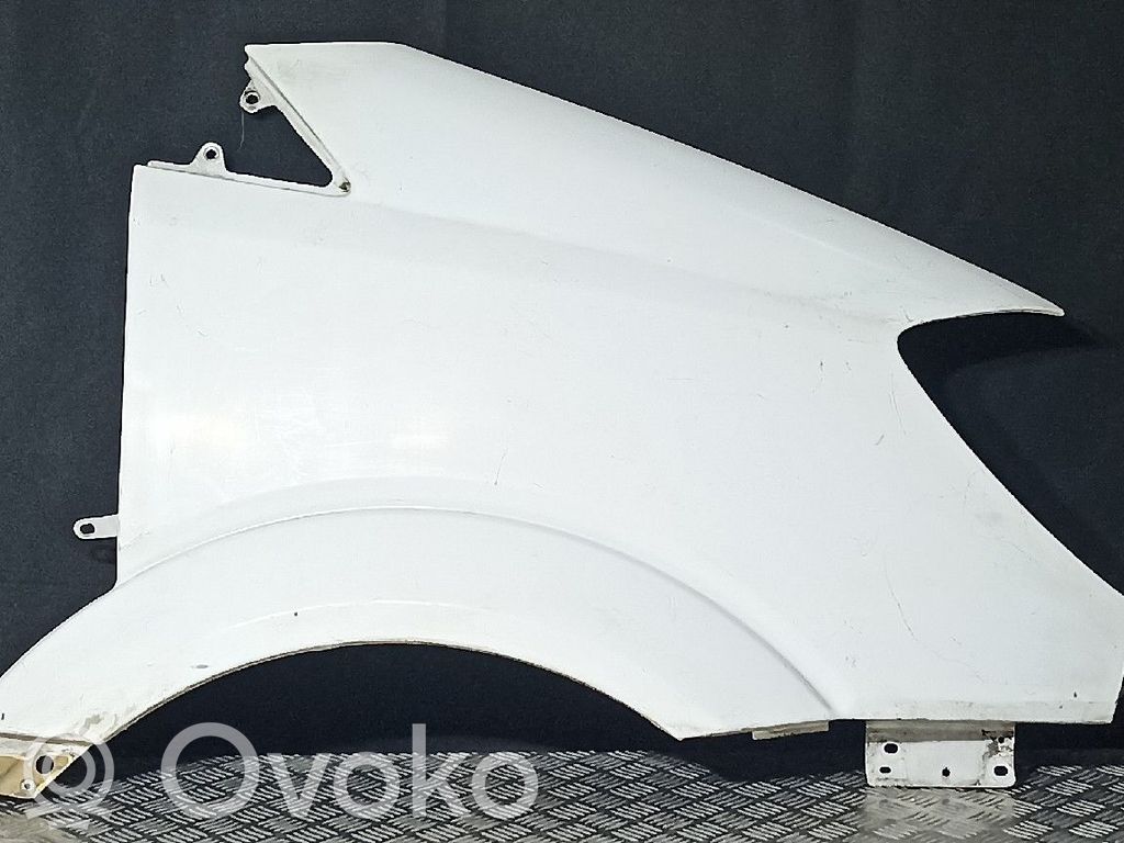 Mercedes-Benz Sprinter W906 Aripă 