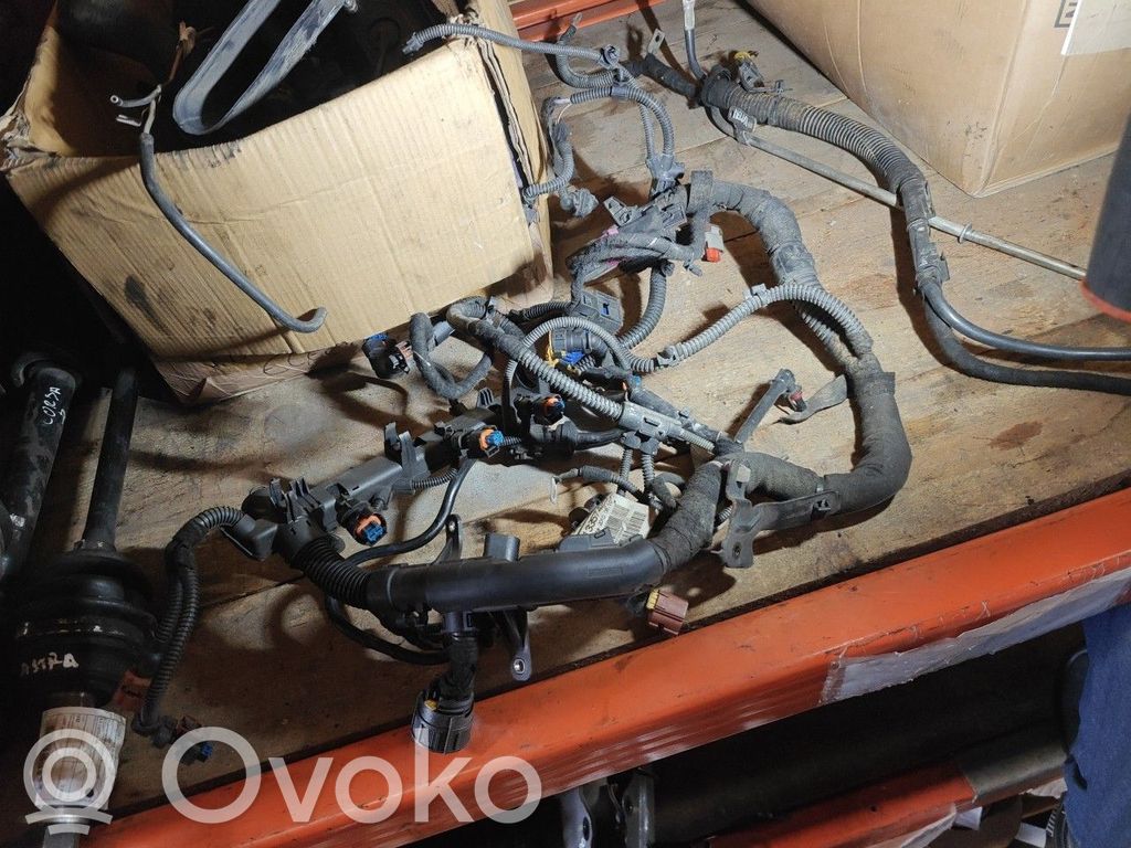 Engine installation wiring loom   133357429,OPELMERIVAB