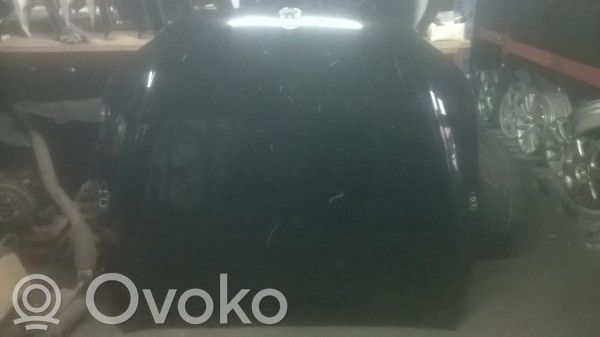 Vano motore/cofano   E60E61,173