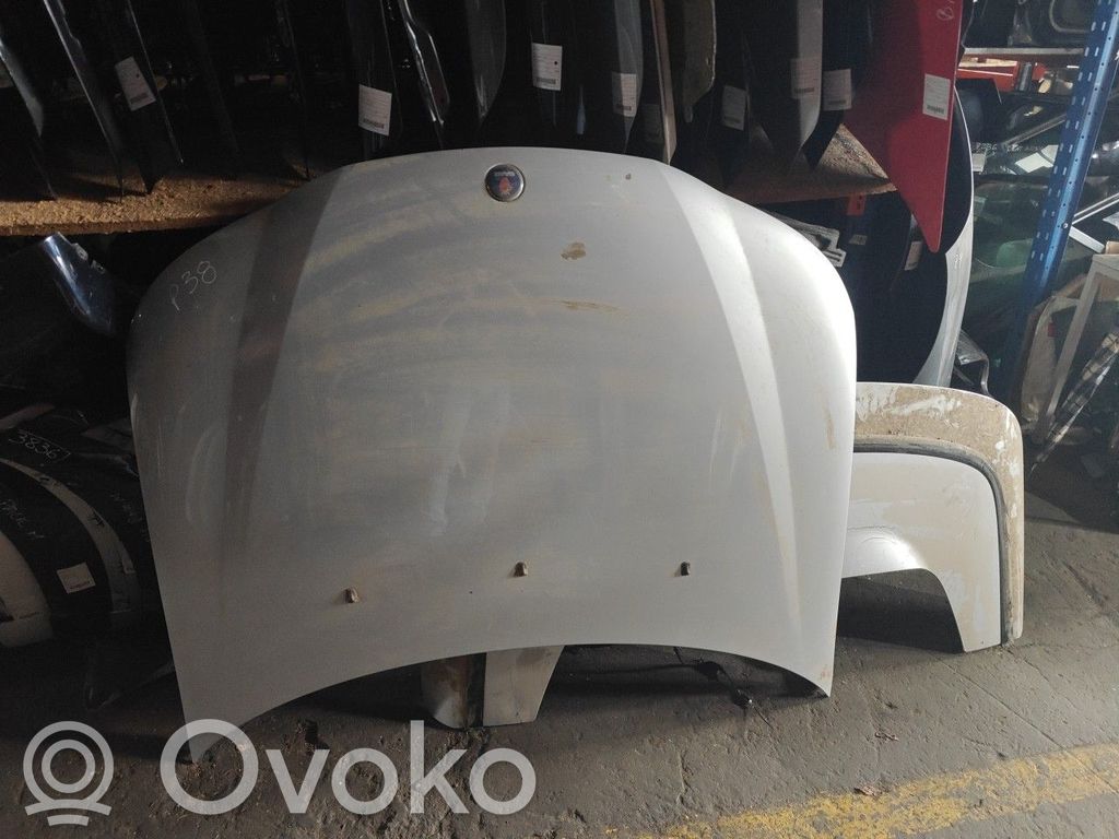 Engine bonnet/hood