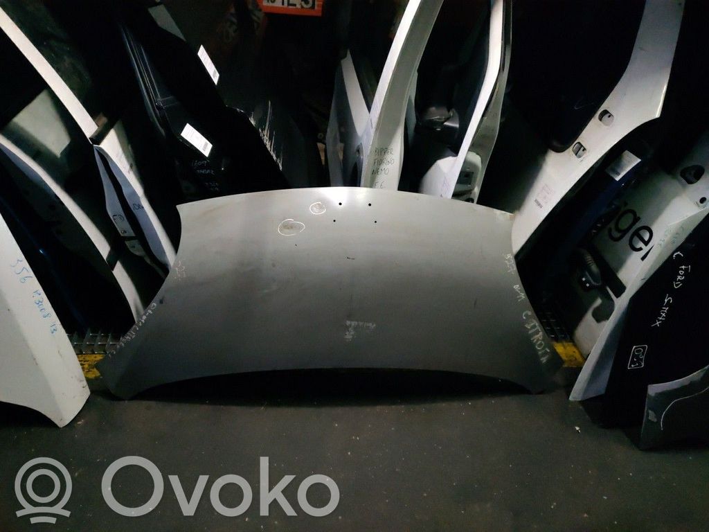 Dangtis variklio (kapotas)