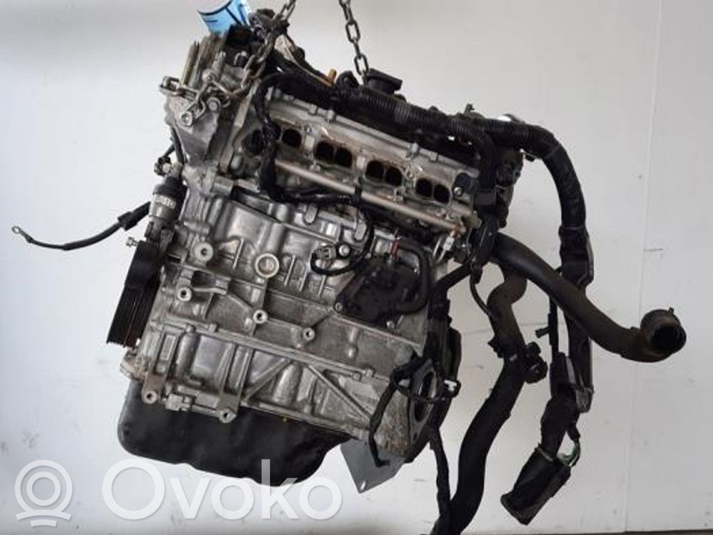 Variklis   P5Y702300