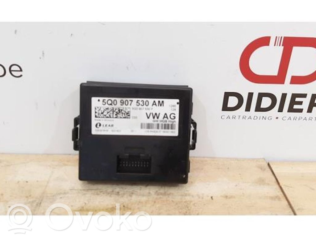 Volkswagen Tiguan Modul control gateway 