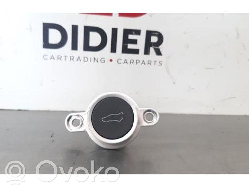 Tesla Model X Tailgate/trunk/boot open switch 