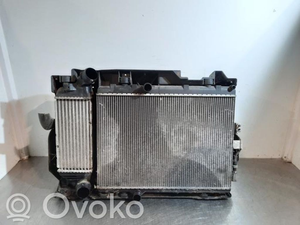 Peugeot 407 Kit Radiateur 