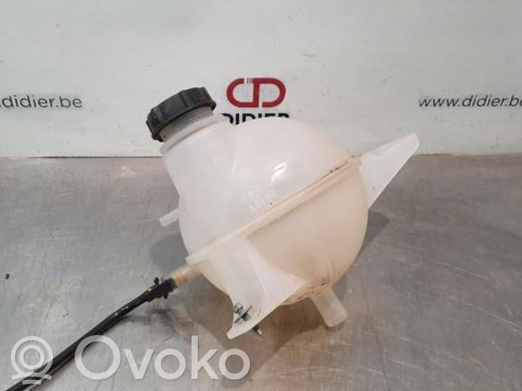 Aušinimo skysčio išsiplėtimo bakelis   BK218K218